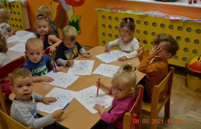 Kolorowy świat Misiów