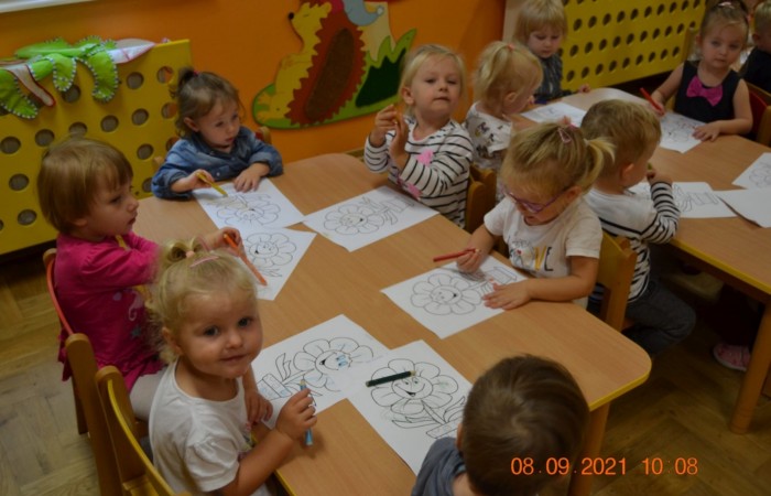 Kolorowy świat Misiów