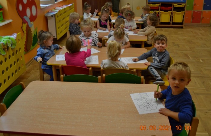 Kolorowy świat Misiów