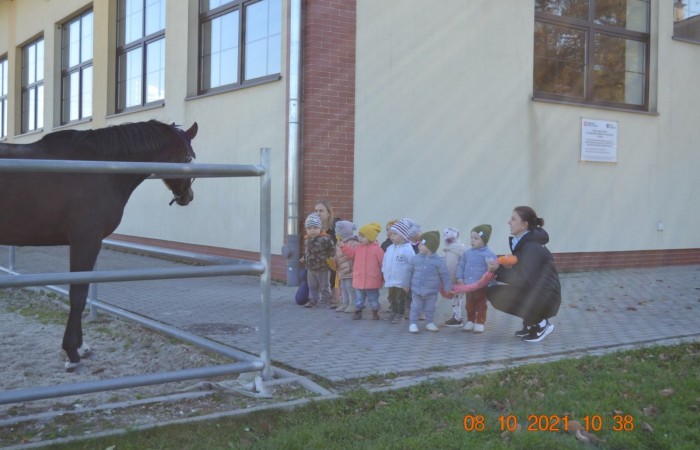 Poznajemy zwierzątka