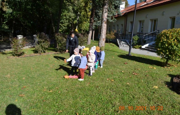 Kolorowe listki z drzewa pospadały...