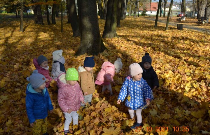 Liści wokół cała masa a my po nich hopsasasa...
