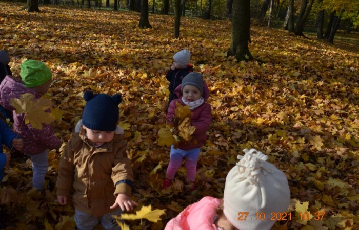 Liści wokół cała masa a my po nich hopsasasa...