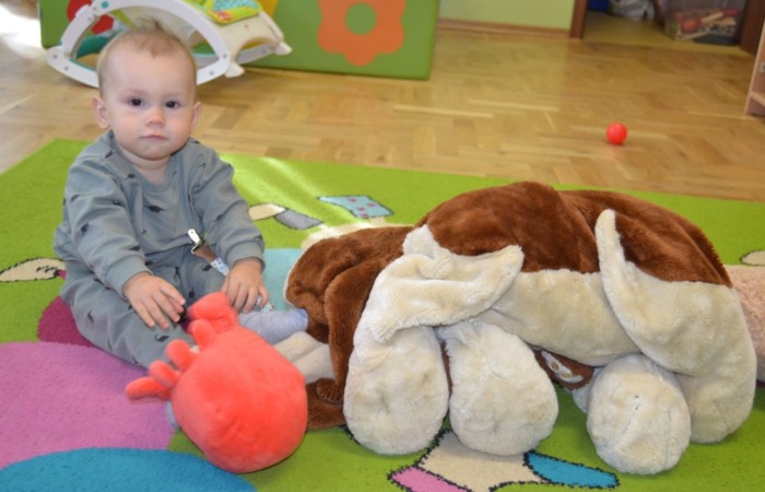 Światowy Dzień Zwierząt w Krasnalach