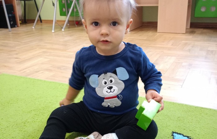 Budowa wieży na Krasnalach