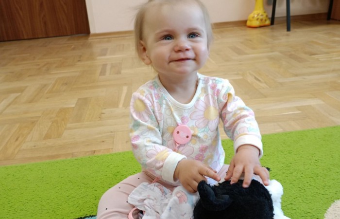 Budowa wieży na Krasnalach