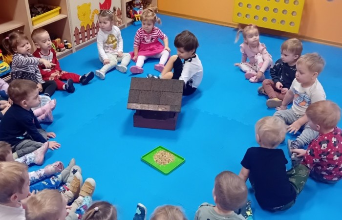 Dbamy o ptaki zimą
