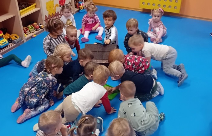 Dbamy o ptaki zimą