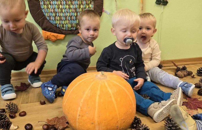 Krasnale poznają dary Jesieni